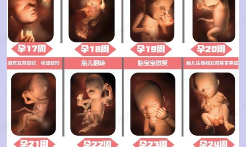 乙肝患者可以吃茄子吗-精子好不好射完网 - 为你提供天津格林国际幼儿园学费、人体结构几何体速写